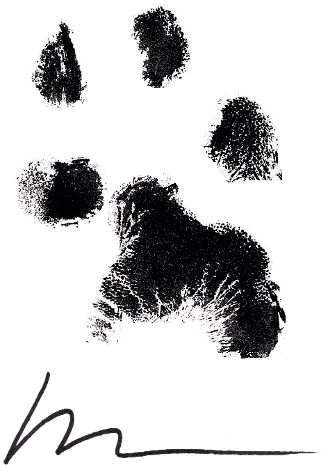 Pawtographed copy from michaelhingson.com