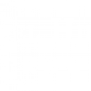 Michel Hingson Group Logo