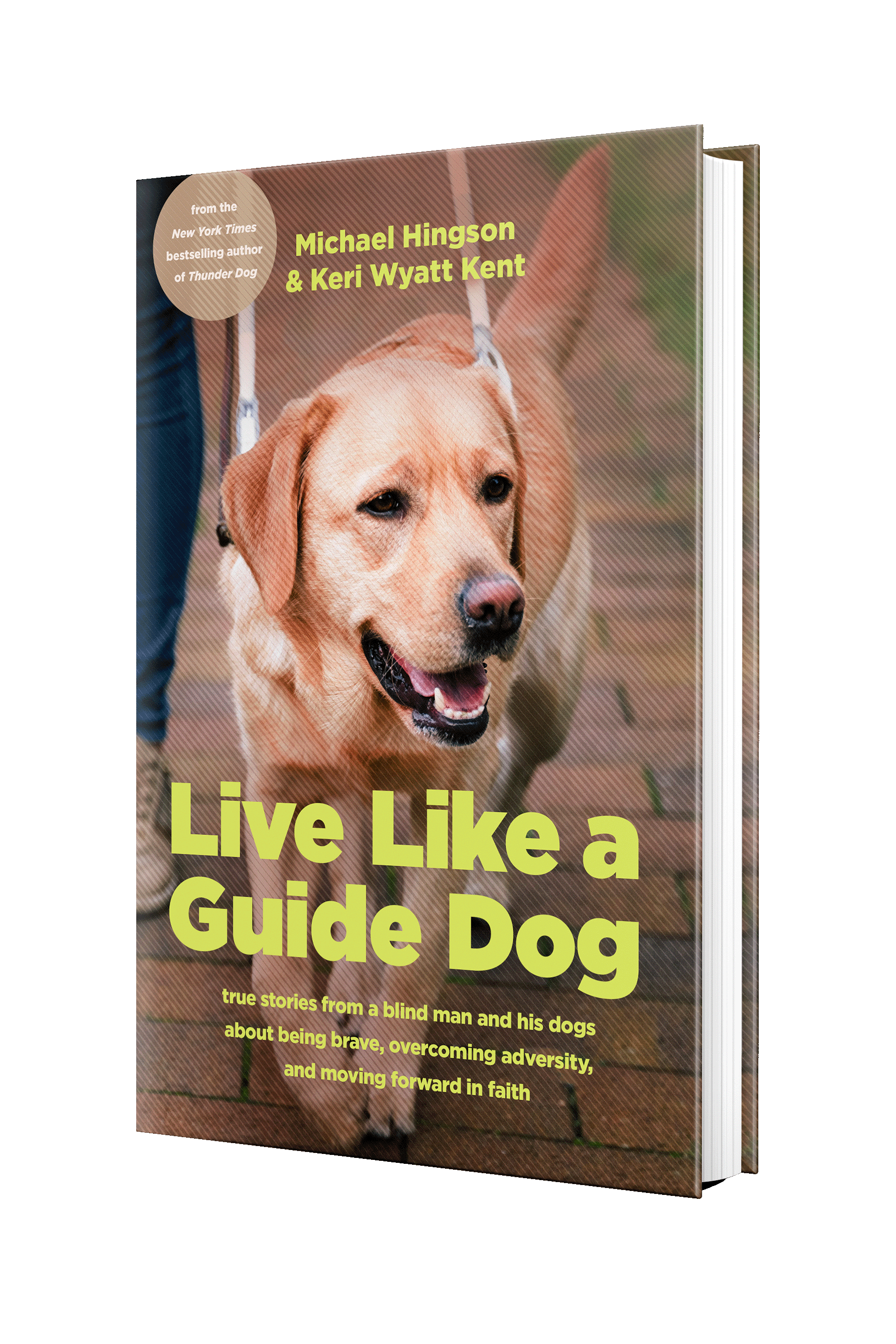 Book cover of Live Like a Guide Dog: a golden Labrador guide dog in harness, looking forward with calm confidence.