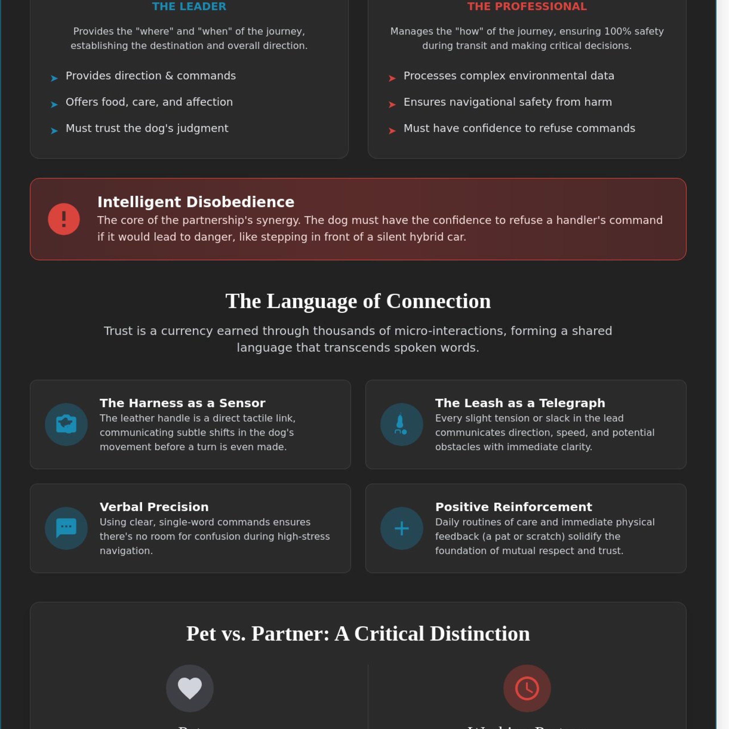 The Guide Dog Bond: A Masterclass in Trust and Interdependence - Infographic