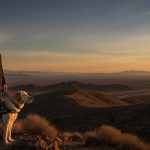 50+ Quotes About Goals to Fuel Your Unstoppable Mindset in 2026